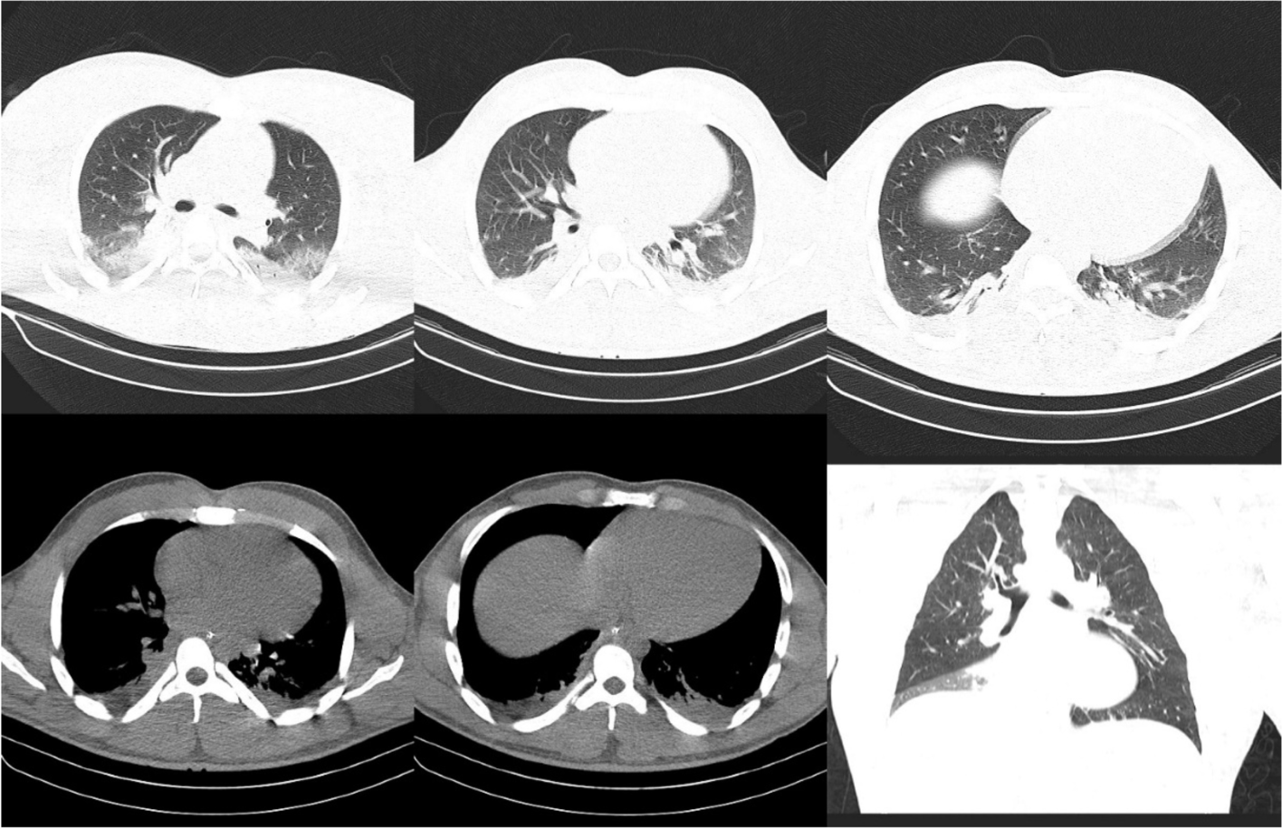 Fig. 1