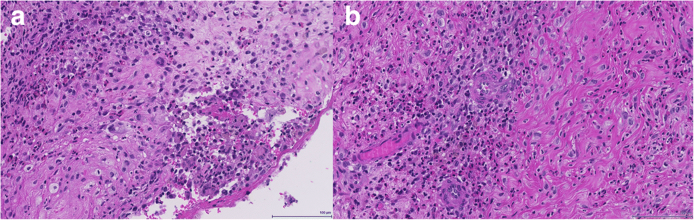 Fig. 5