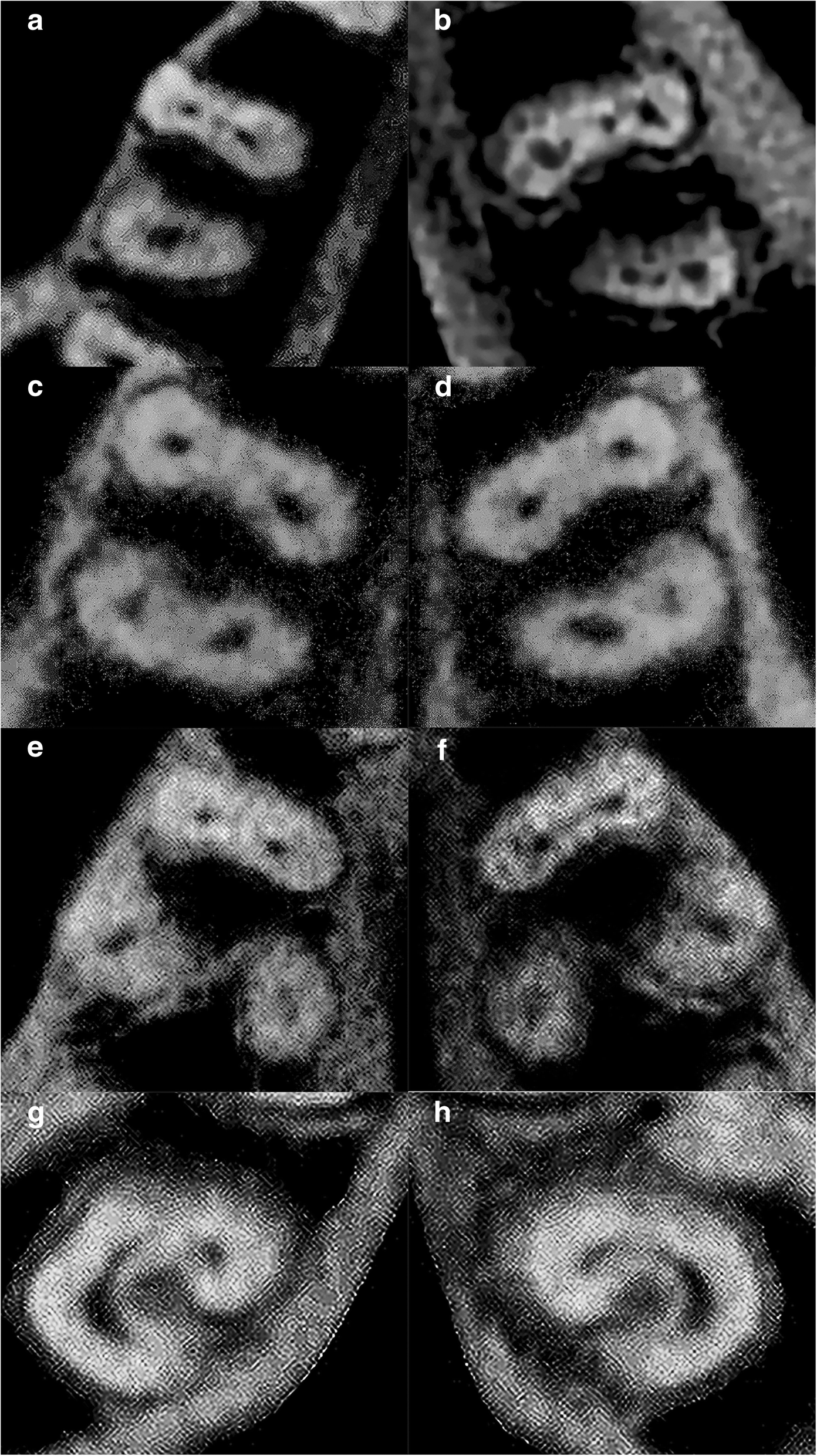 Fig. 5