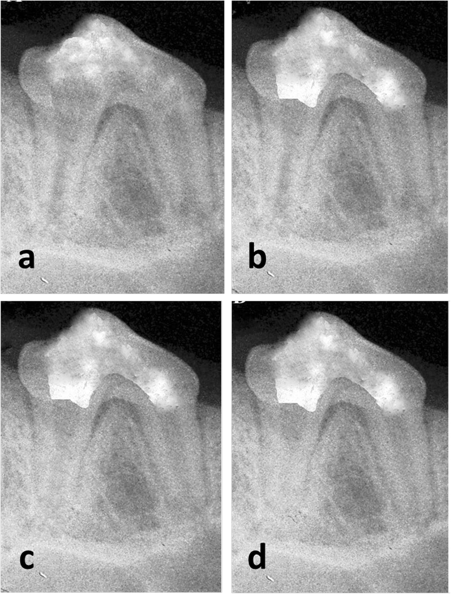 Fig. 2