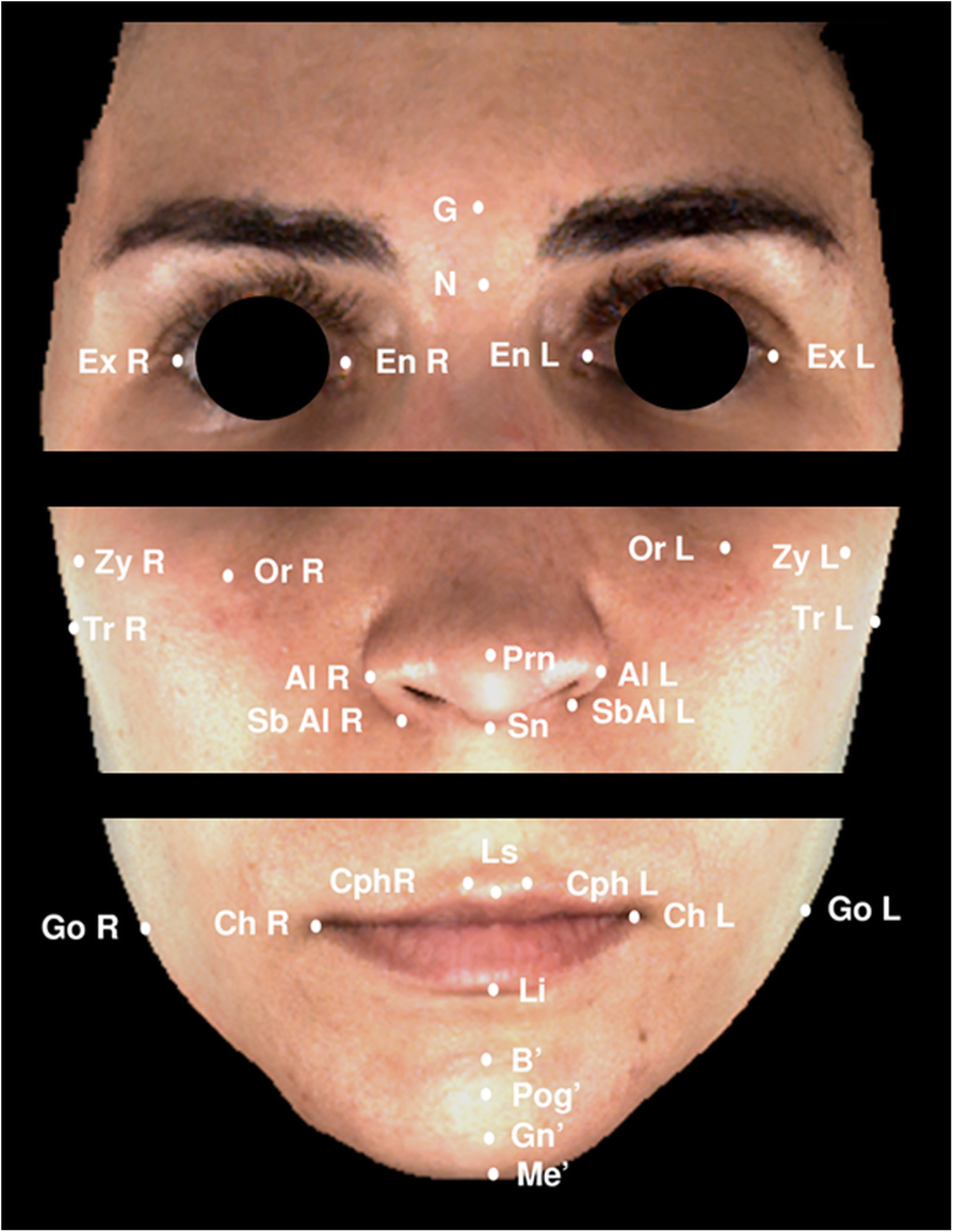 Fig. 2