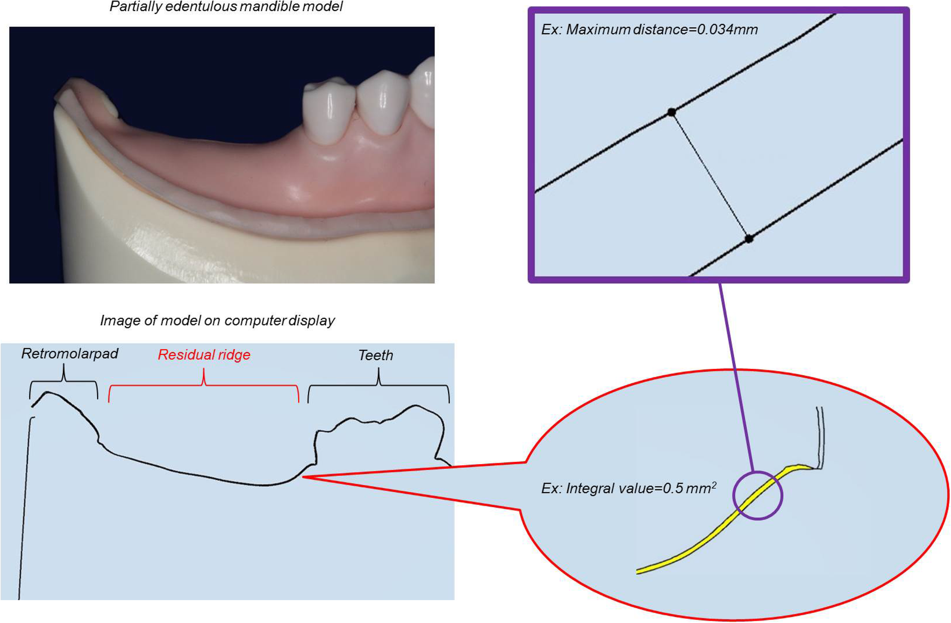 Fig. 5