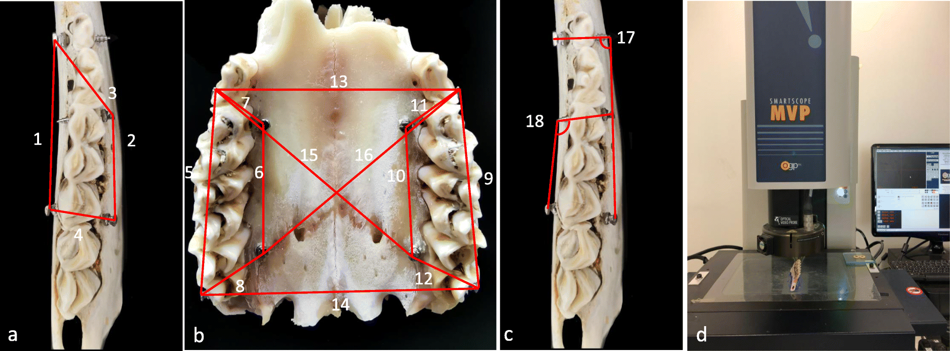 Fig. 3