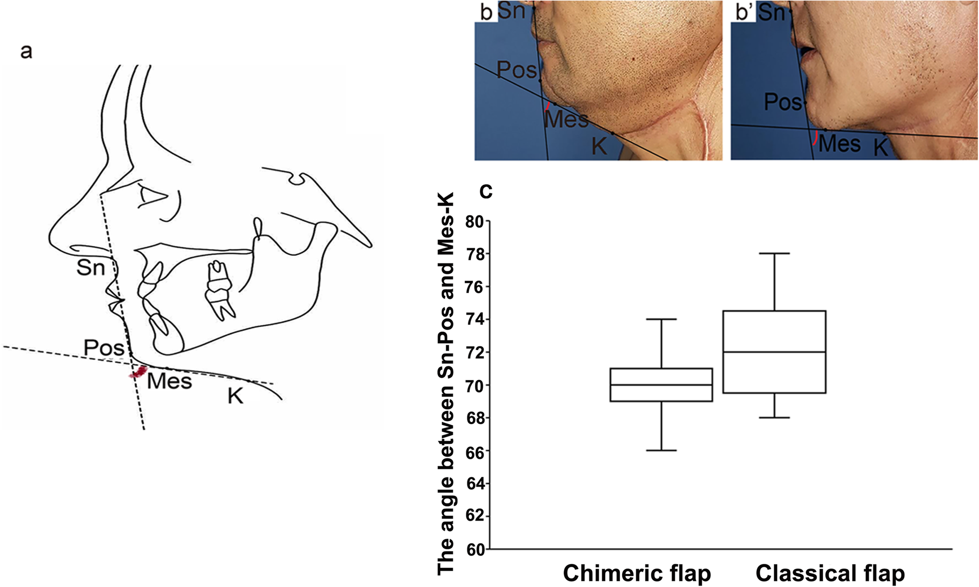 Fig. 3