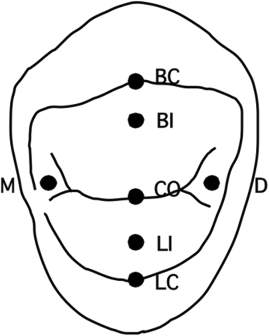 Fig. 2