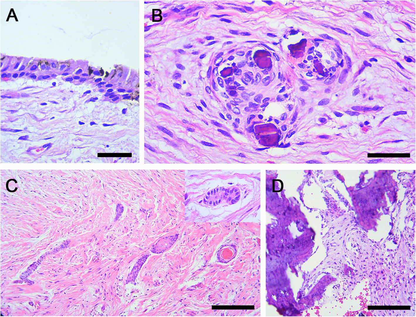 Fig. 7