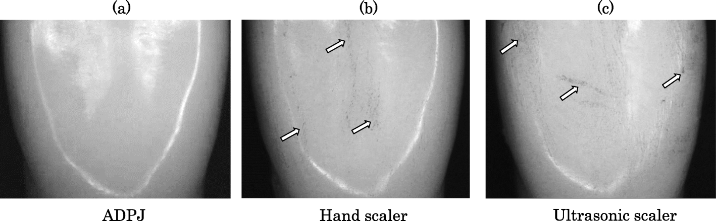 Fig. 5