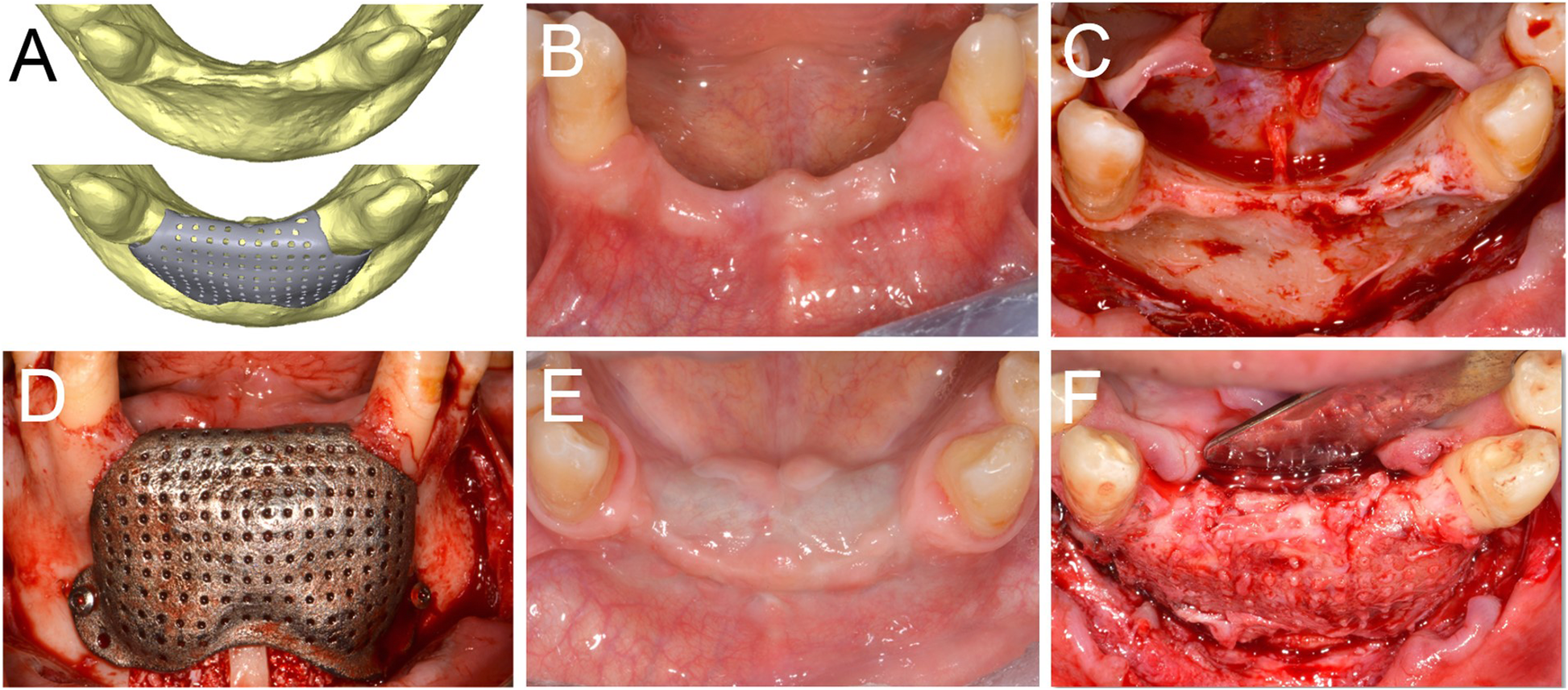 Fig. 4