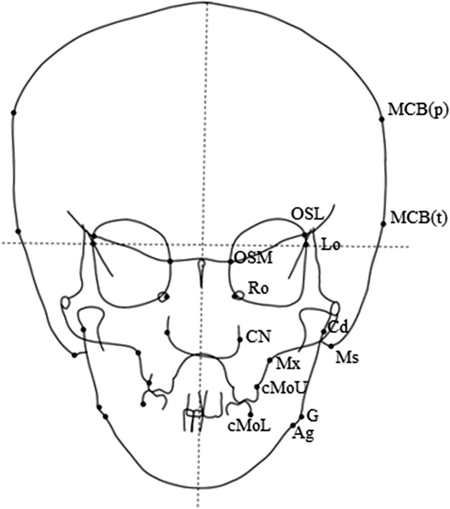 Fig. 8