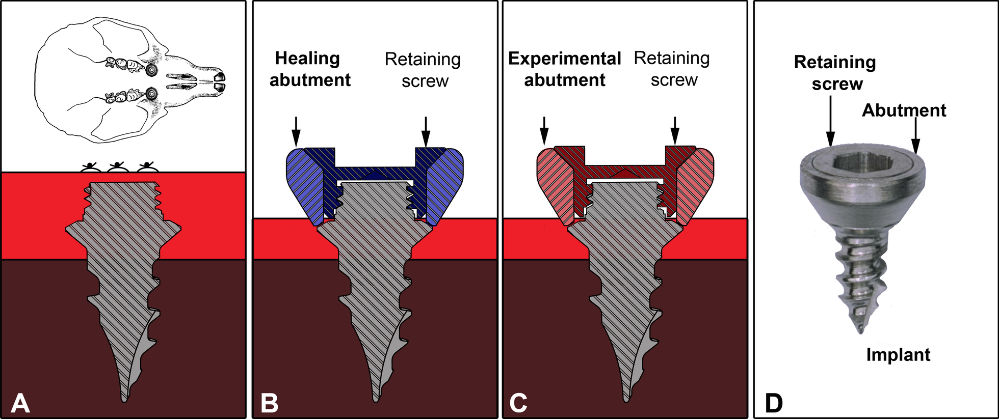 Fig. 2