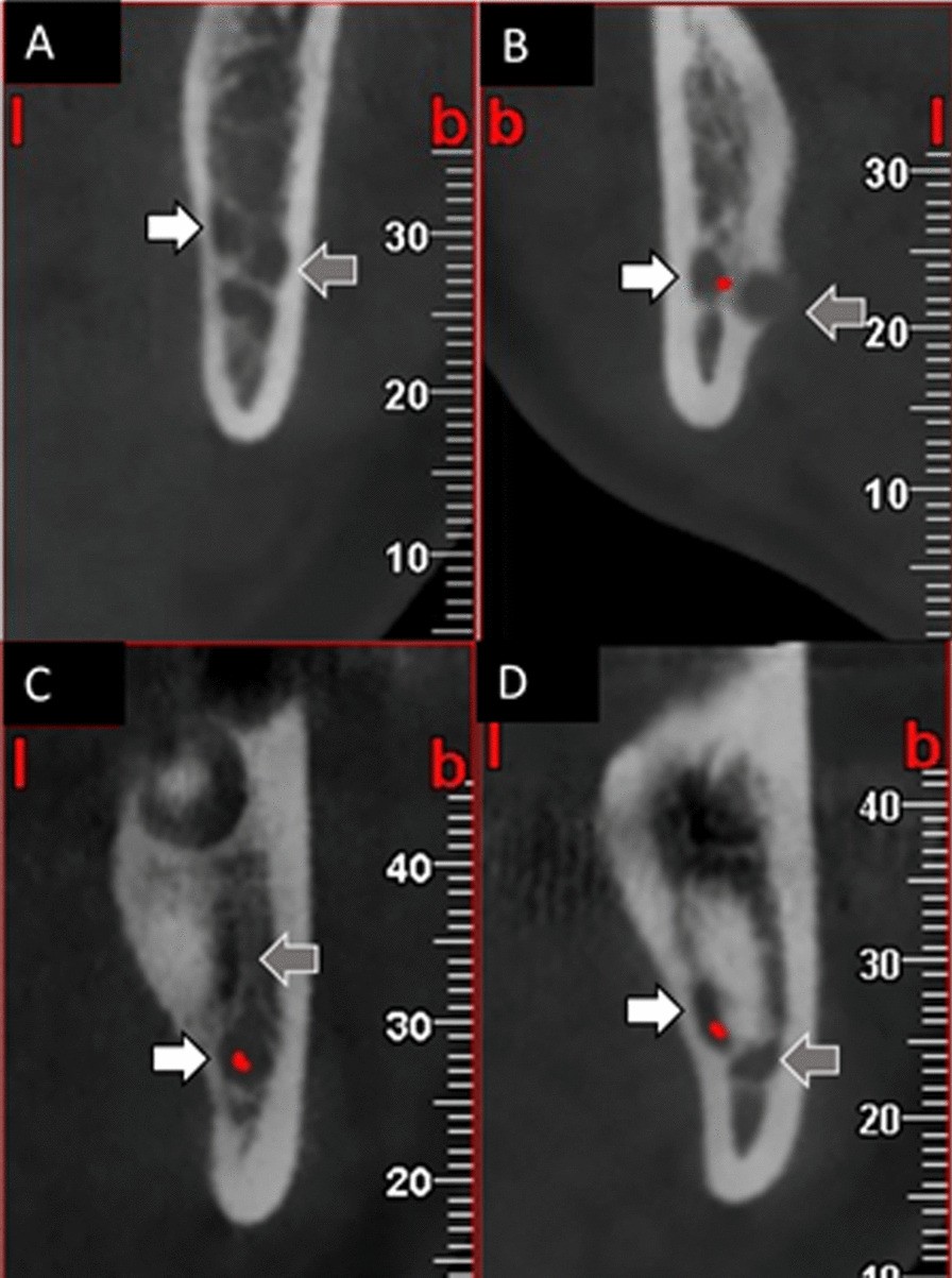 Fig. 3