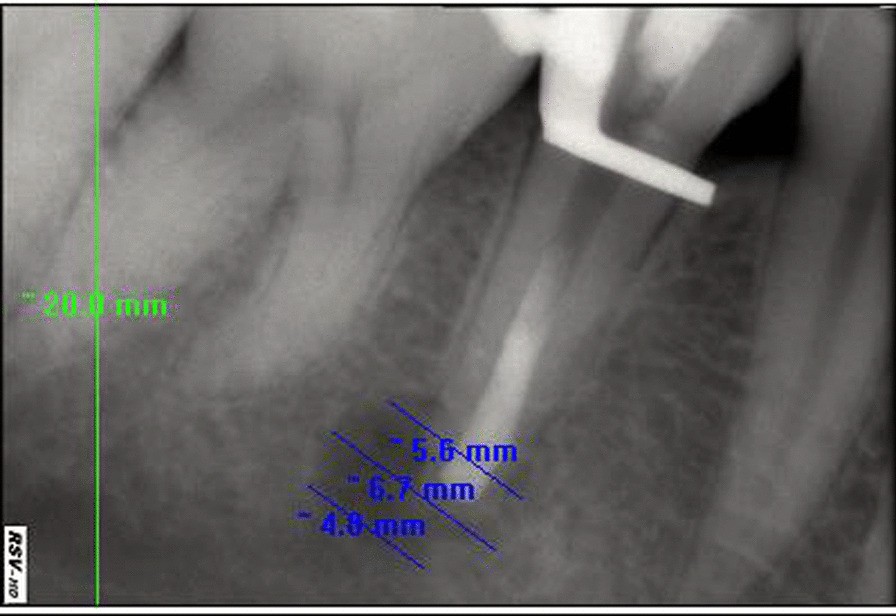 Fig. 8