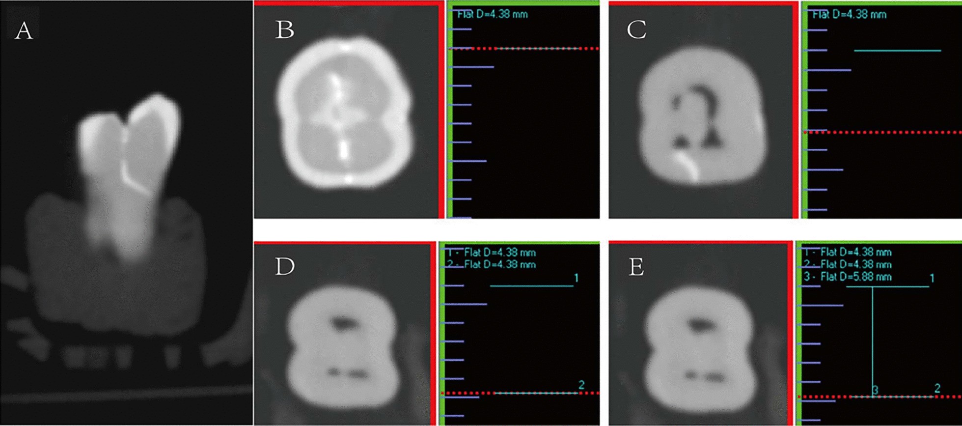 Fig. 3