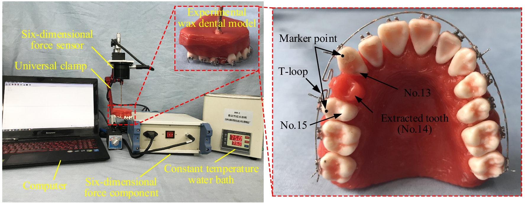 Fig. 6