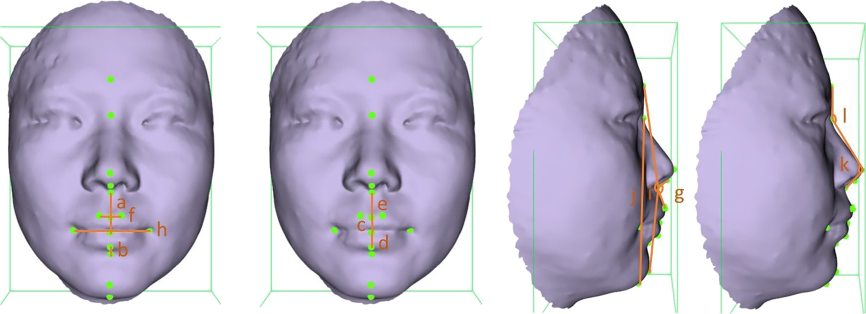 Fig. 5