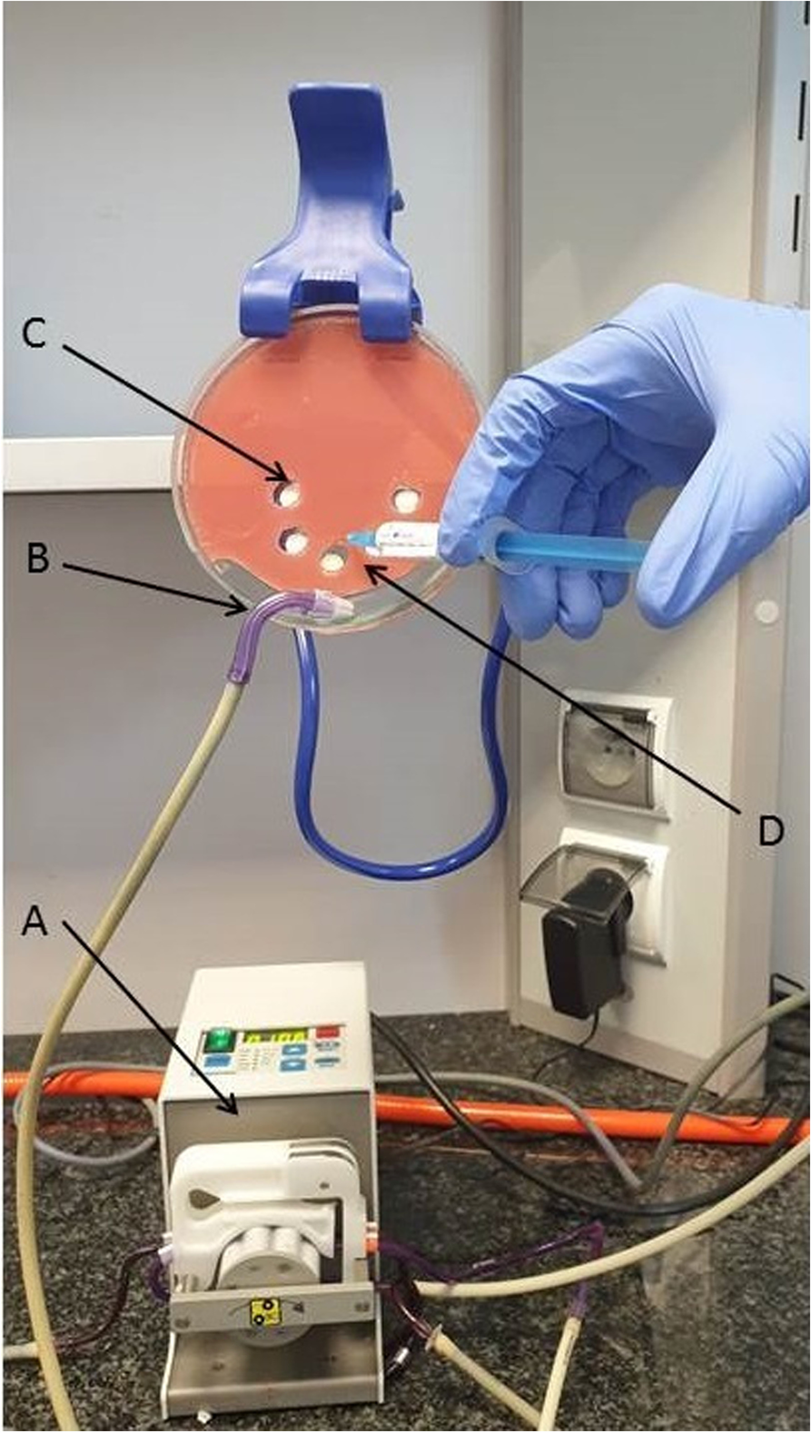 Fig. 1