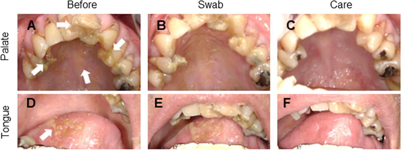 Fig. 2