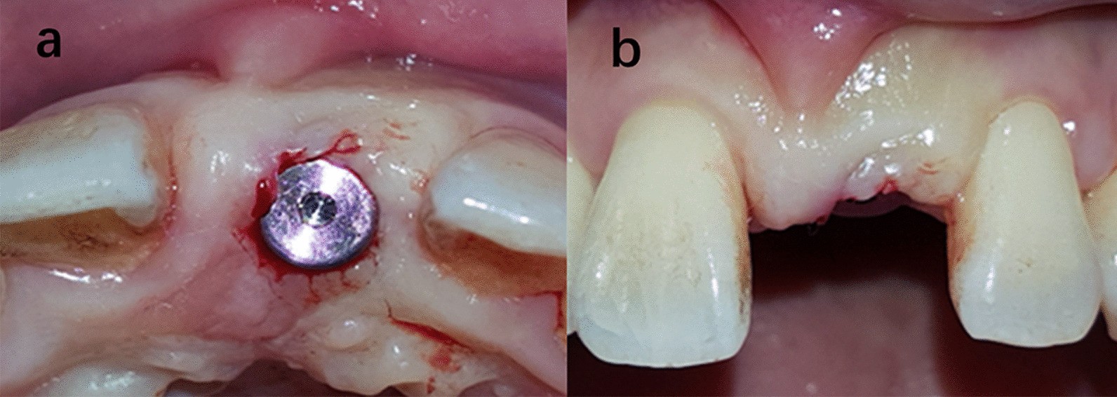 Fig. 8