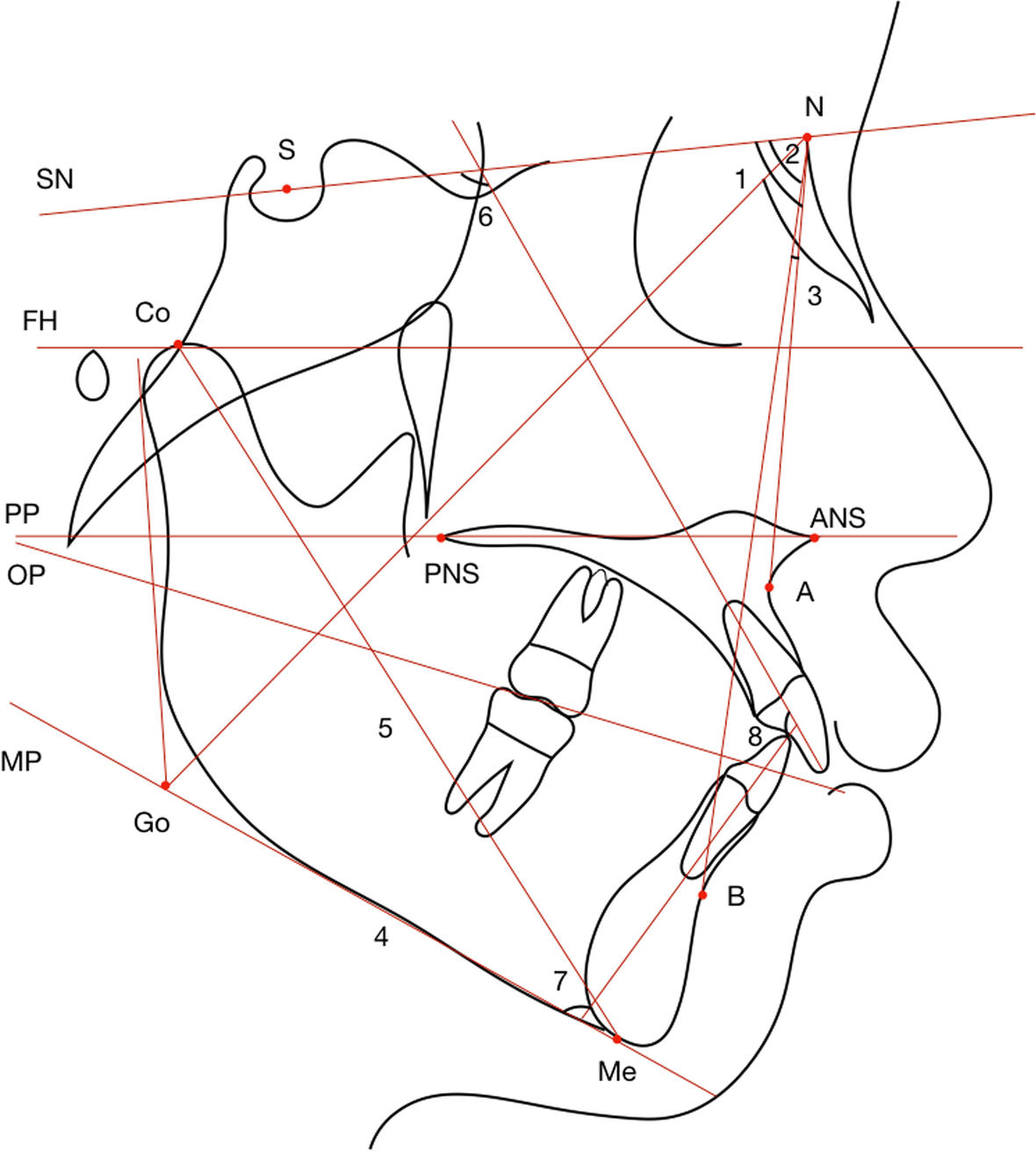 Fig. 8