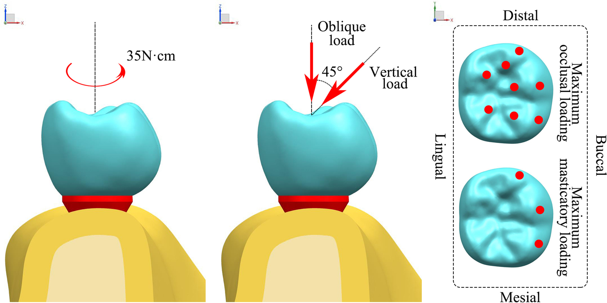 Fig. 3