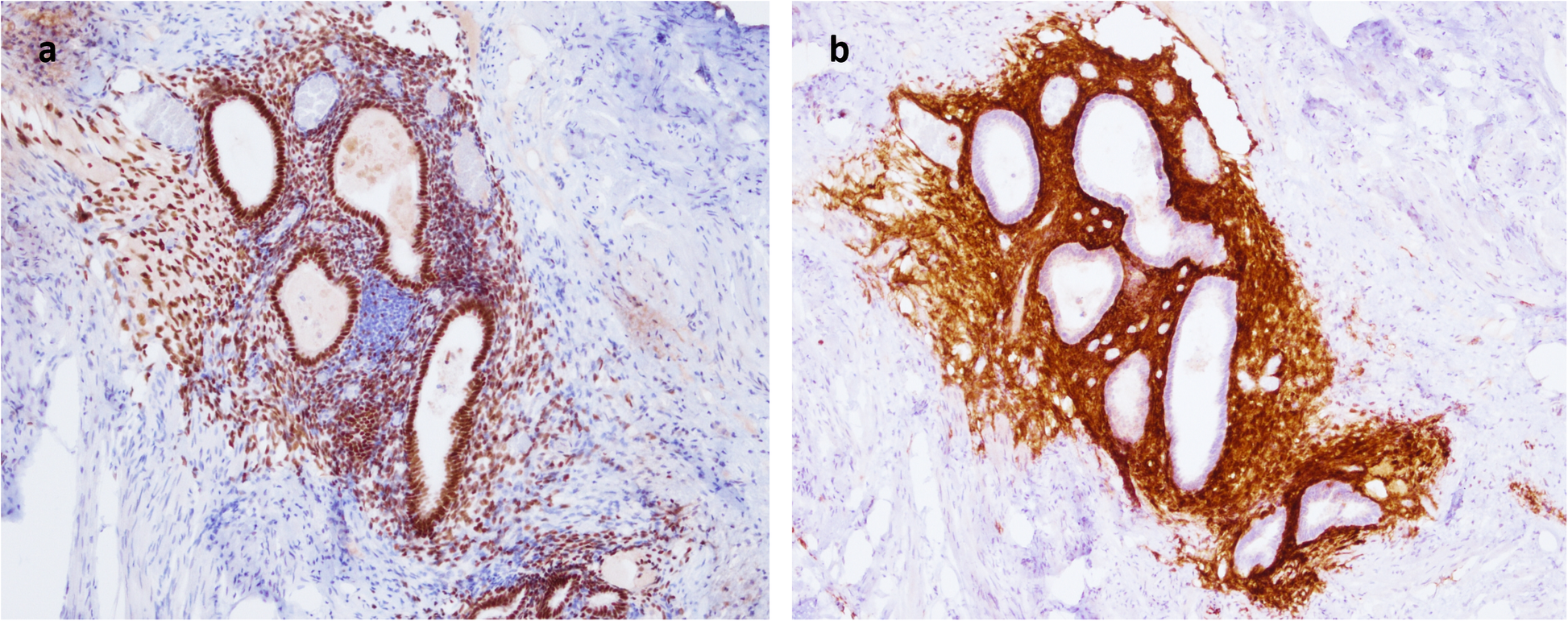 Fig. 5