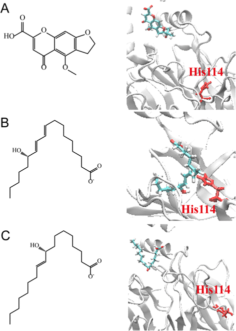 Fig. 13