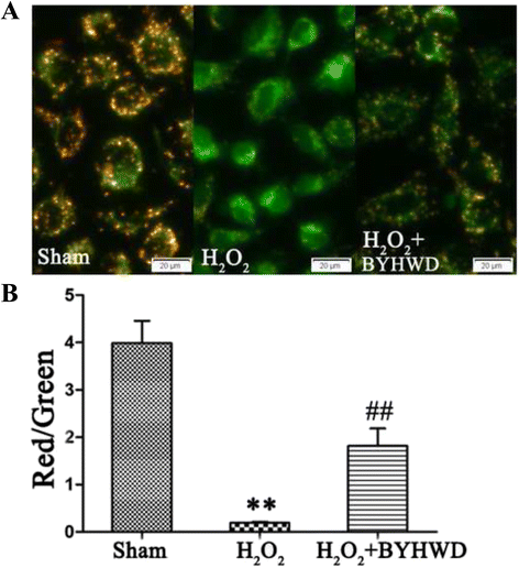 Fig. 9