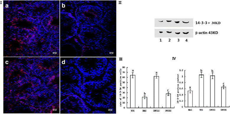 Fig. 12