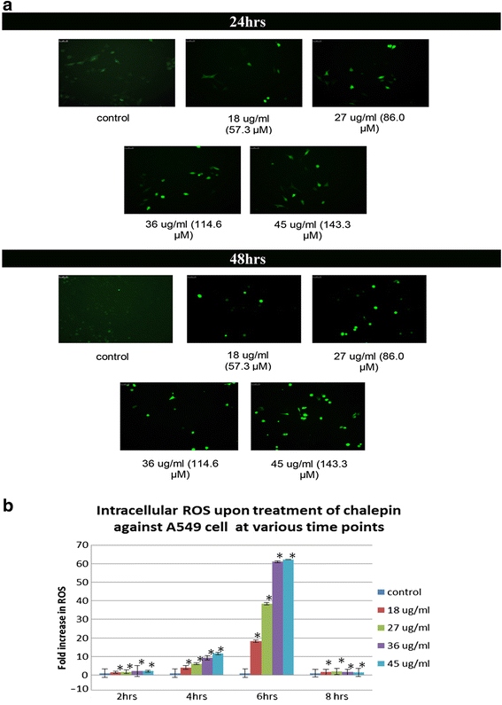 Fig. 11