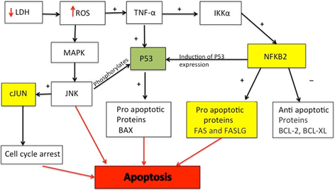 Fig. 9