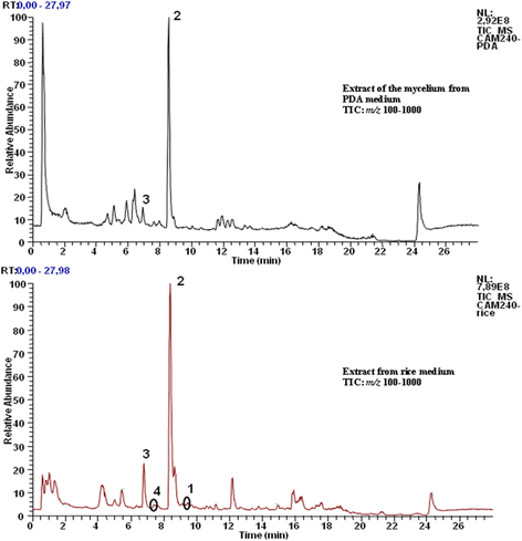 Fig. 2