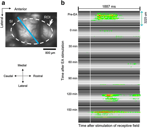 Fig. 8