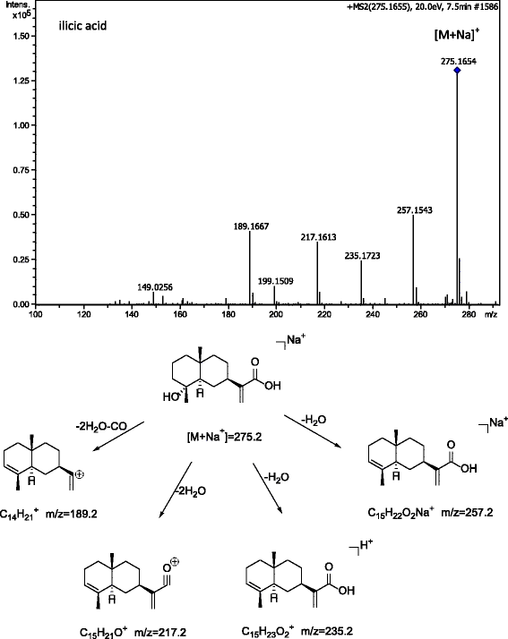 Fig. 2