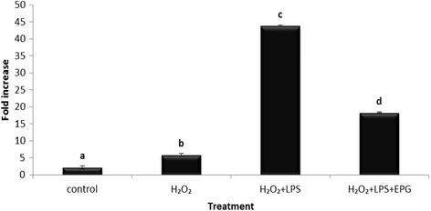 Fig. 8