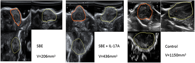 Fig. 9