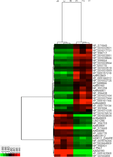 Fig. 12