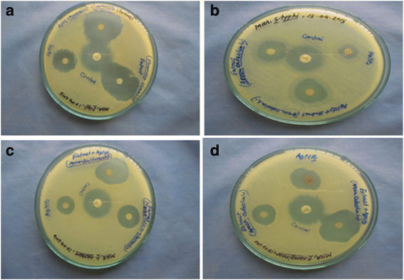 Fig. 5