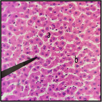 Fig. 11