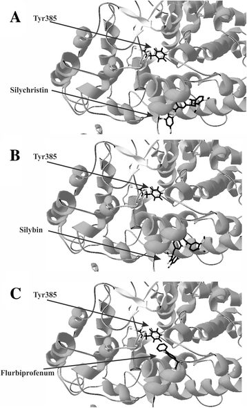 Fig. 5