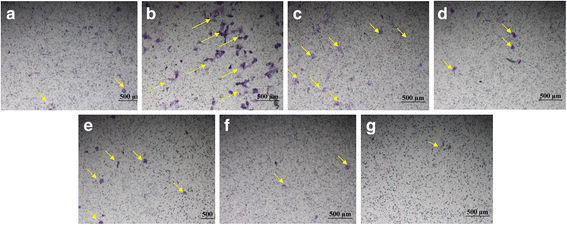 Fig. 9