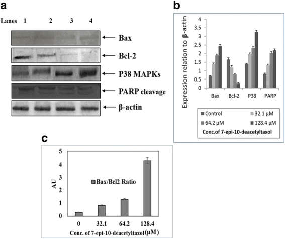 Fig. 12