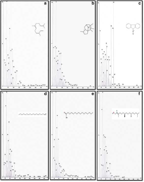 Fig. 8