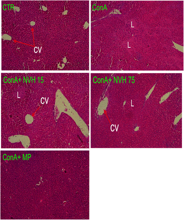 Fig. 11