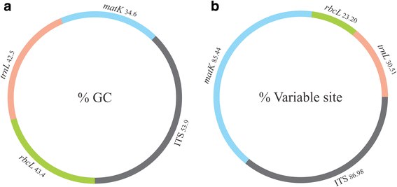 Fig 1.