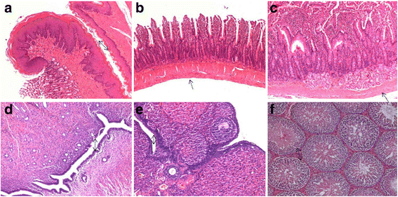 Fig. 11