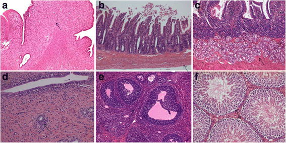 Fig. 13