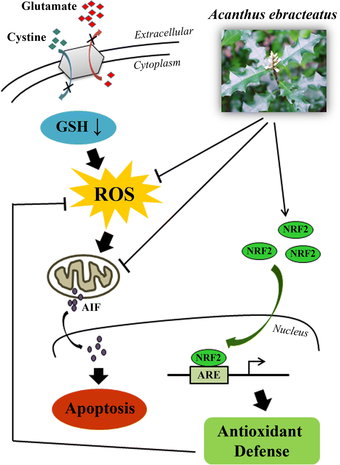 Fig. 7