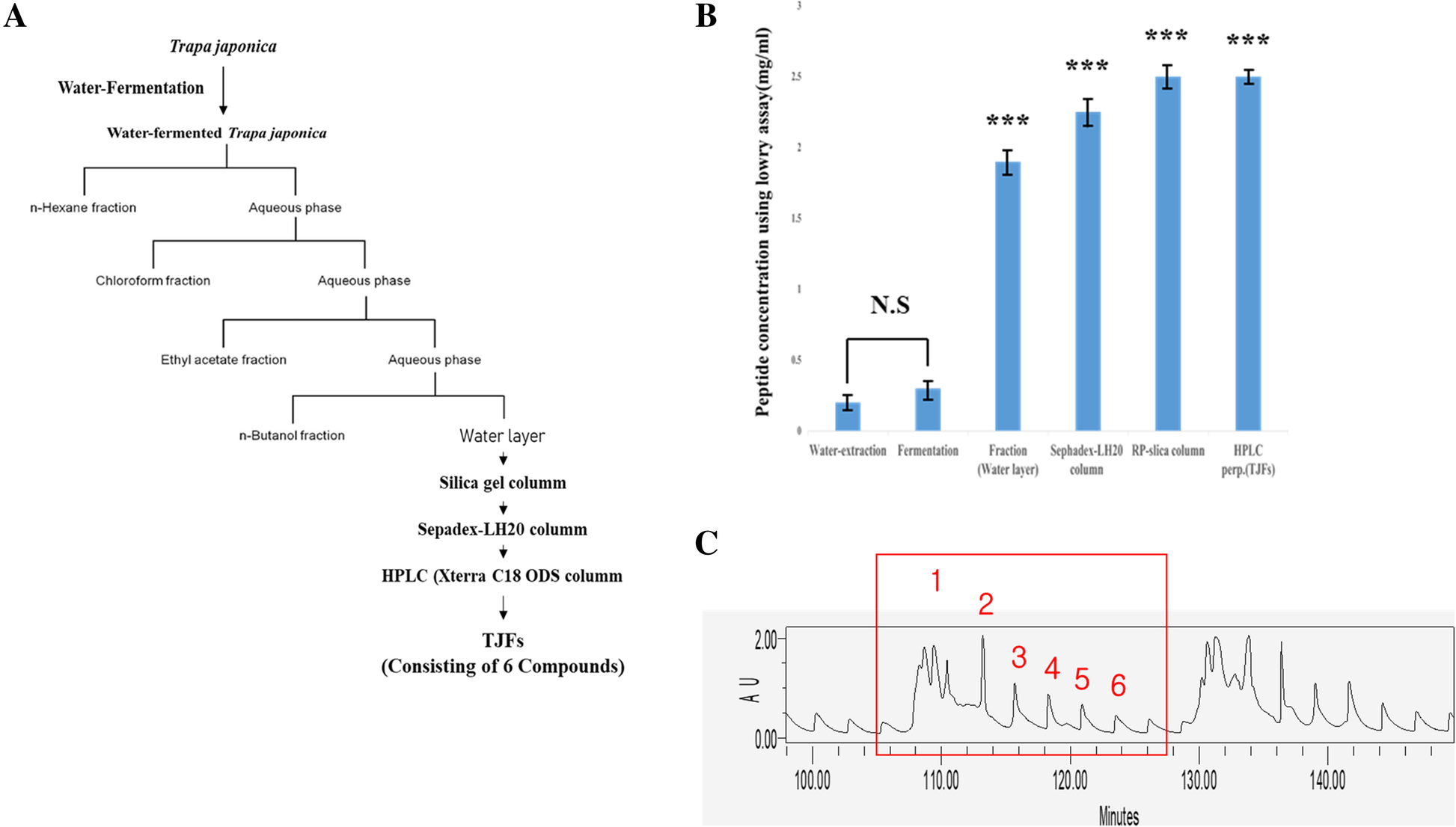 Fig. 1