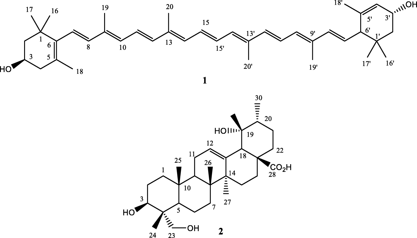 Fig. 2