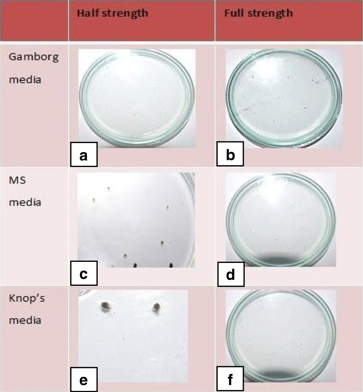 Fig. 11